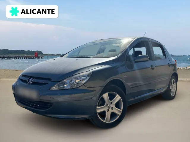 Peugeot 307
