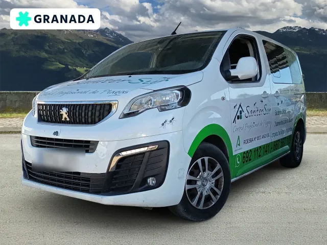 Peugeot Traveller