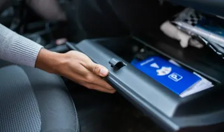 Duplicate ficha técnica: how to spot mileage drops