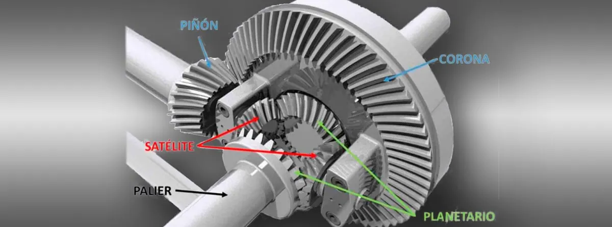 differential