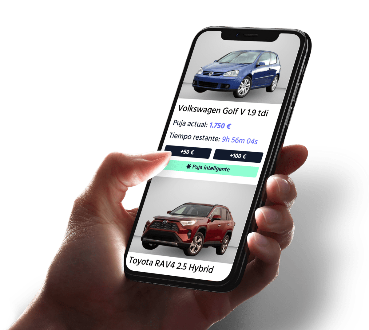 Subastas para profesionales